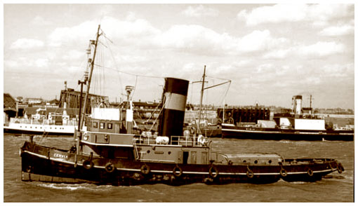 The Empire steam tug 'Cervia'.