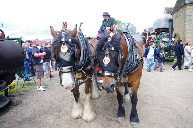 Preston Rally and East Kent Show 2012